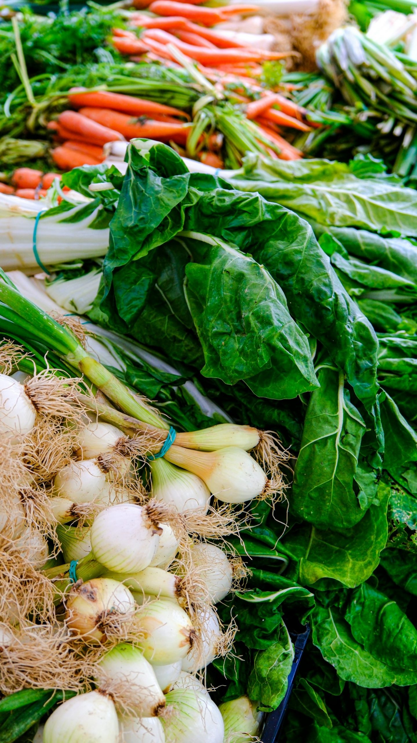 5 Essential Asian Pantry Items Found at Eastern Idaho Stores